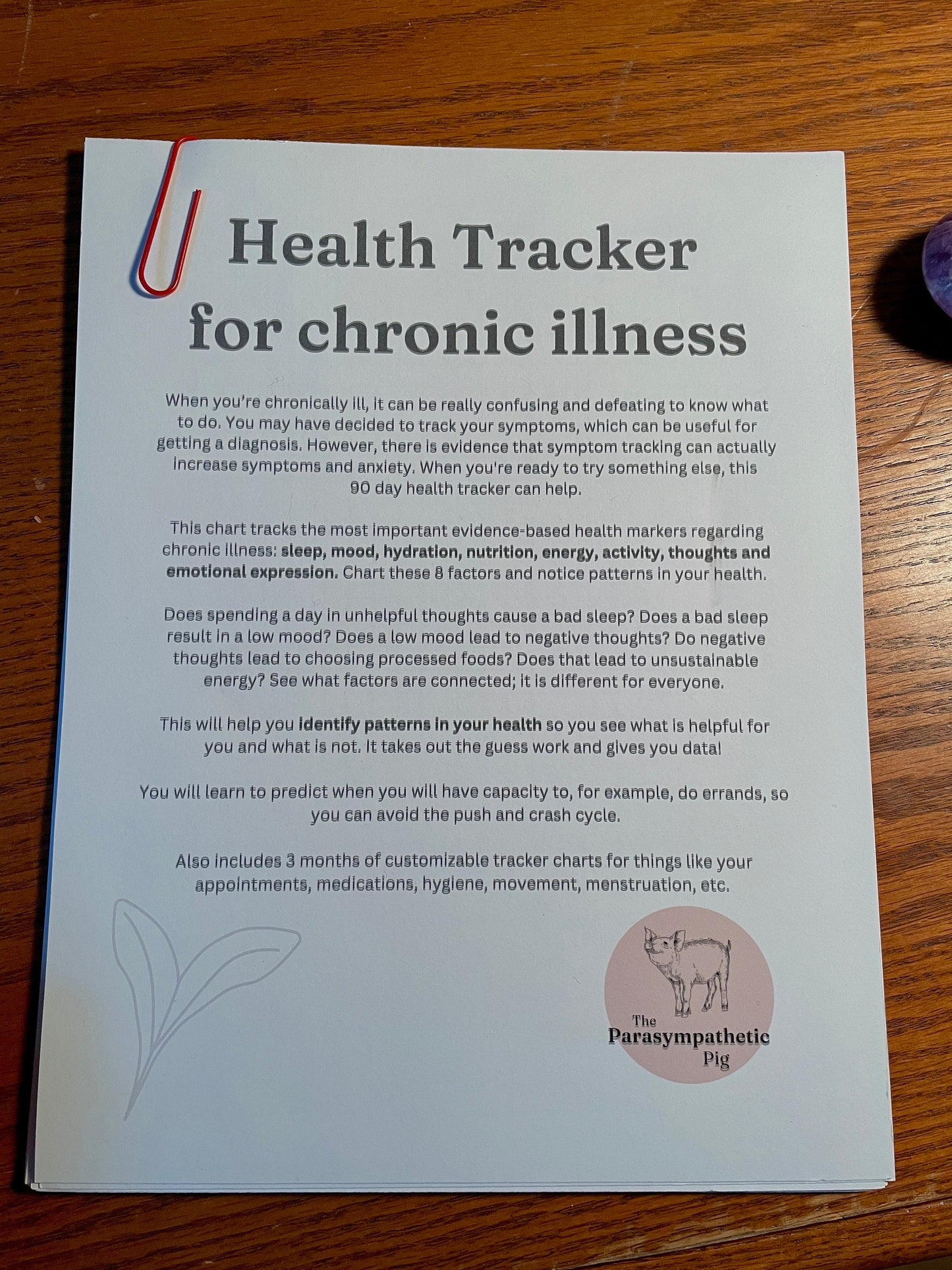 Long Covid Symptom Tracker | Wellness Chart | Daily Health Record | Chronic Pain Management | PDF Download | Invisible Illness Support