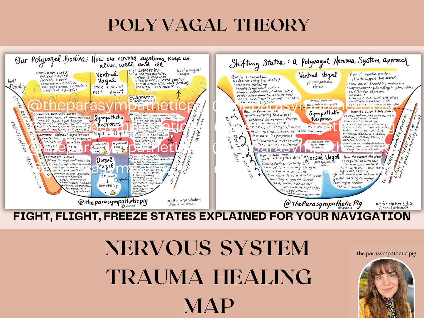 Trauma Healing Map | Autonomic Nervous System Regulation Poster | Stress Response Model Chart | Anxiety Treatment Guide & Education Aid