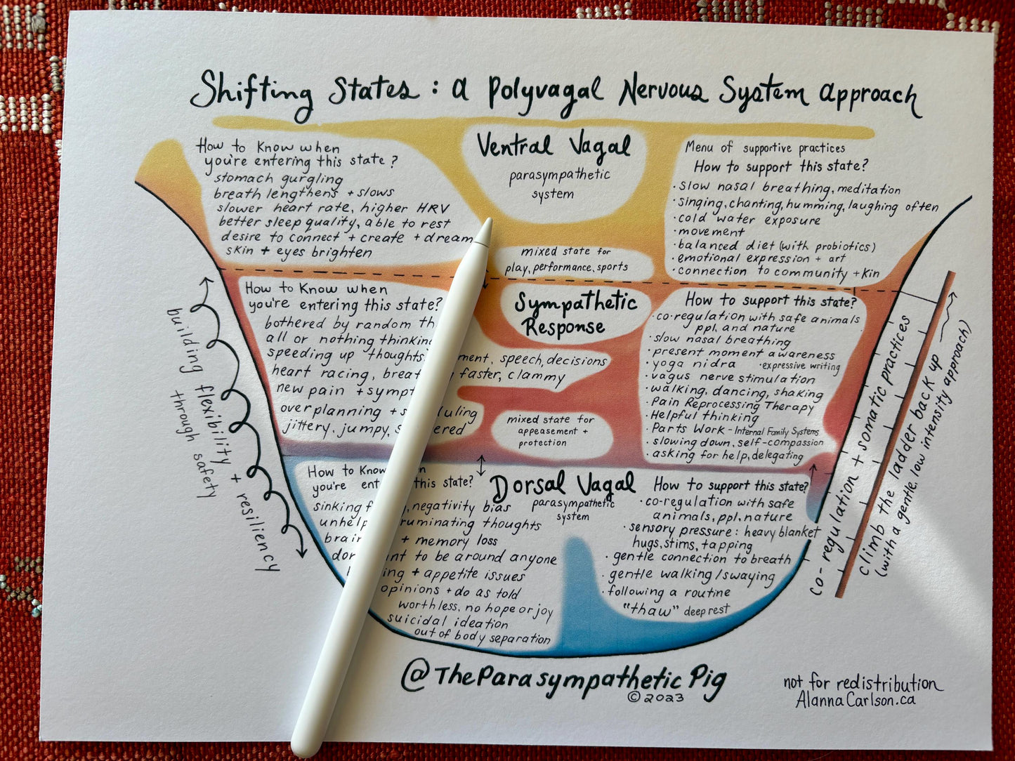 Trauma Healing Map | Autonomic Nervous System Regulation Poster | Stress Response Model Chart | Anxiety Treatment Guide & Education Aid