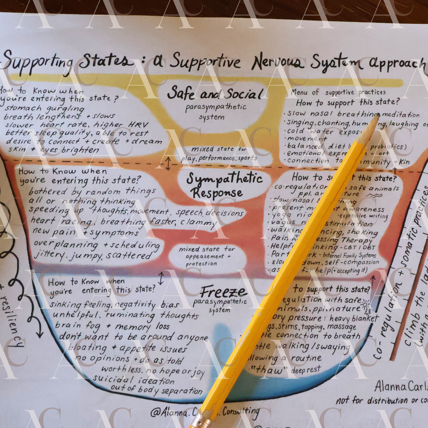 Nervous System Map | A Visual Guide to Understanding Stress Responses, Trauma, and Nervous System