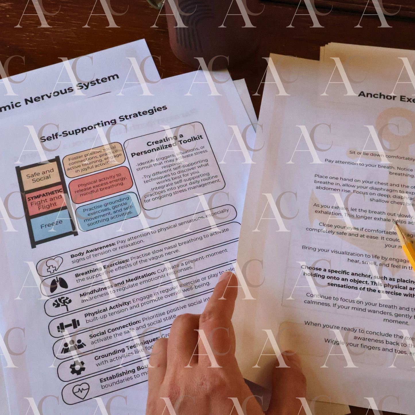 Nervous System Workbook | Trauma-Informed Printable Guide for Neurodivergent Women | Burnout Recovery