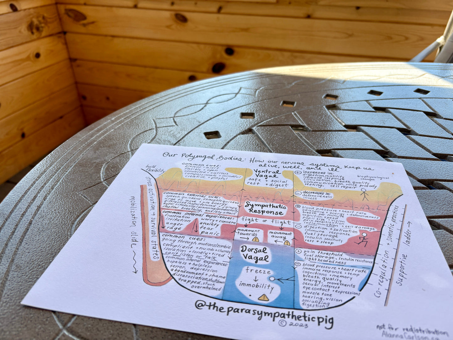 Polyvagal Theory Workbook for Nervous System Regulation | Trauma-Informed Printable Guide for ND Women & Burnout Recovery