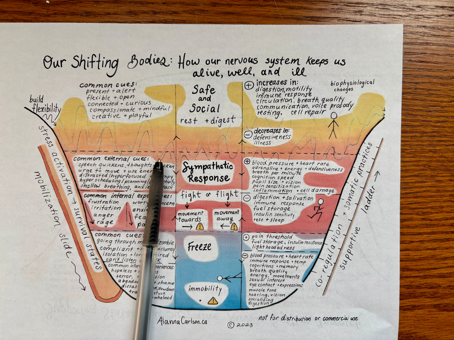 Nervous System Map | A Visual Guide to Understanding Stress Responses, Trauma, and Nervous System