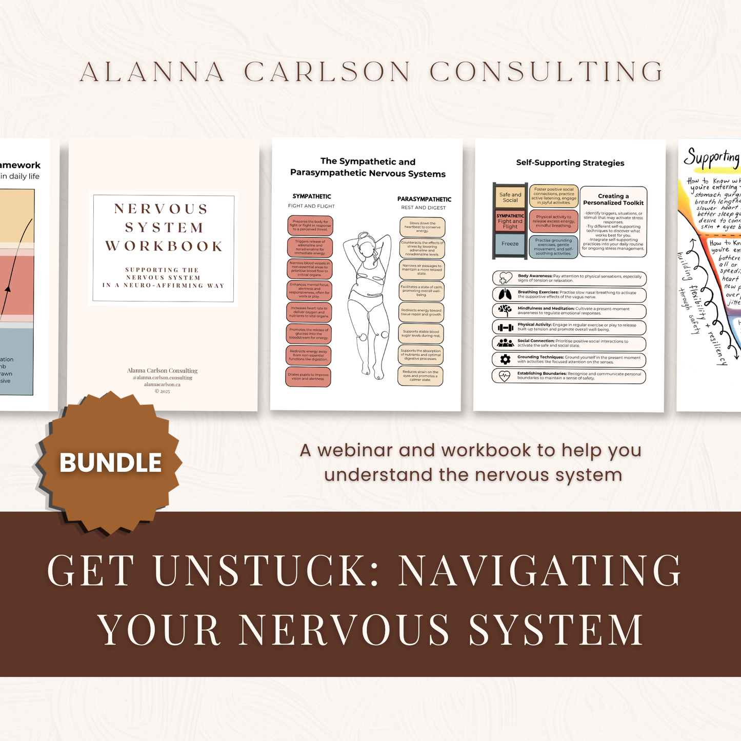 Get Unstuck Bundle: Using Nervous System Mapping to Support Overwhelm | A Live Webinar Recording and Nervous System Workbook Bundle