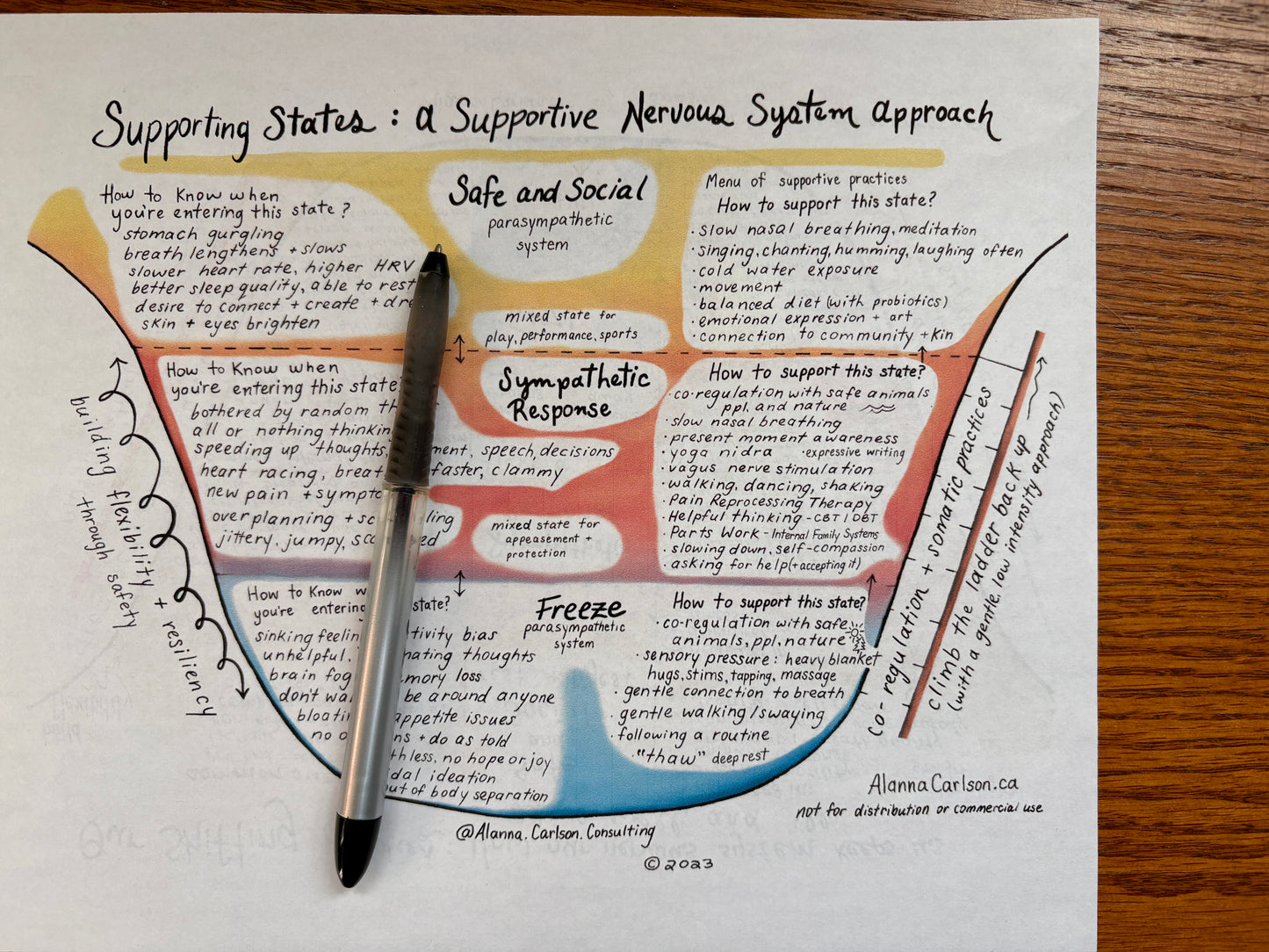 Nervous System Map | A Visual Guide to Understanding Stress Responses, Trauma, and Nervous System