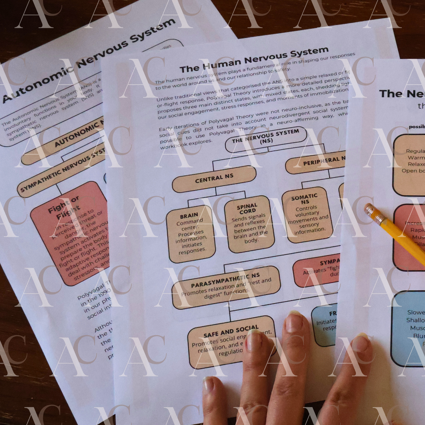 Nervous System Workbook | Trauma-Informed Printable Guide for Neurodivergent Women | Burnout Recovery