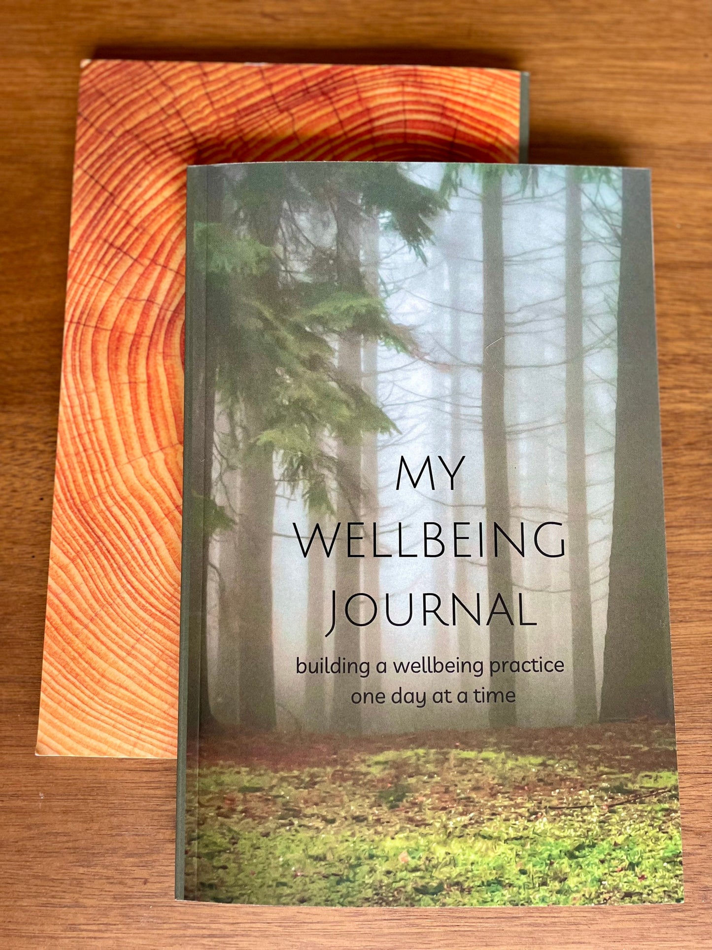 My Wellbeing Journal | Anxiety Relief Diary for Spoonie Healing Notes for Therapy Session | Workbook with Prompts for Self Care Planner