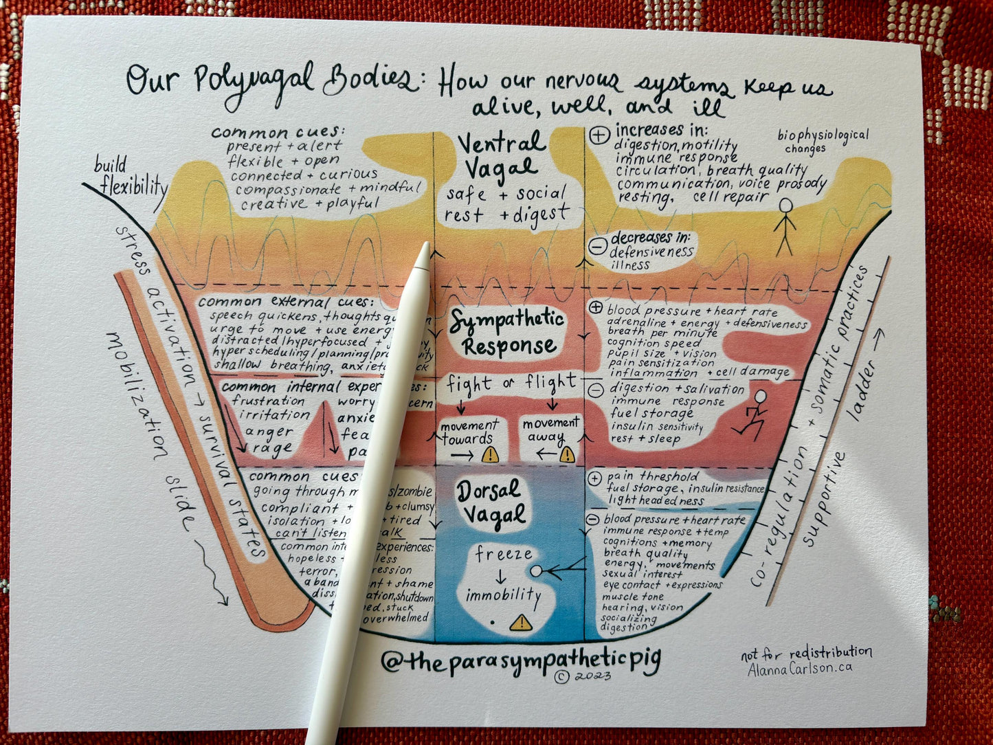Trauma Healing Map | Autonomic Nervous System Regulation Poster | Stress Response Model Chart | Anxiety Treatment Guide & Education Aid